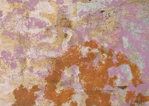 Detail of Le Brouillard Givrant by Heather Page, an 11 3/4” by 23 7/8” by 2” silkscreen and relief print on panel of lichen patterns in orange, pink, and gold