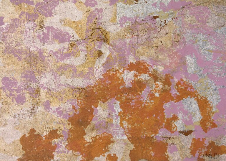 Detail of Le Brouillard Givrant by Heather Page, an 11 3/4” by 23 7/8” by 2” silkscreen and relief print on panel of lichen patterns in orange, pink, and gold