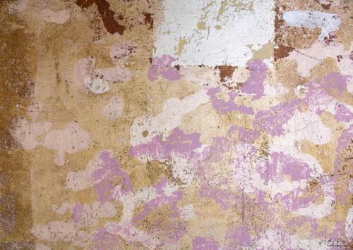 Detail of Le Brouillard Givrant by Heather Page, an 11 3/4” by 23 7/8” by 2” silkscreen and relief print on panel of lichen patterns in orange, pink, and gold