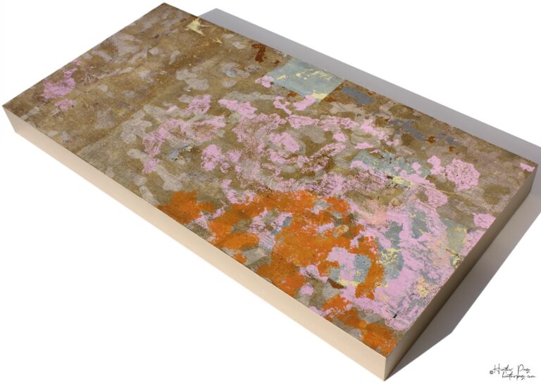 Le Brouillard Givrant by Heather Page is an 11 3/4” by 23 7/8” by 2” silkscreen & relief print on silver-gilded panel of lichen patterns in orange, pink, & gold