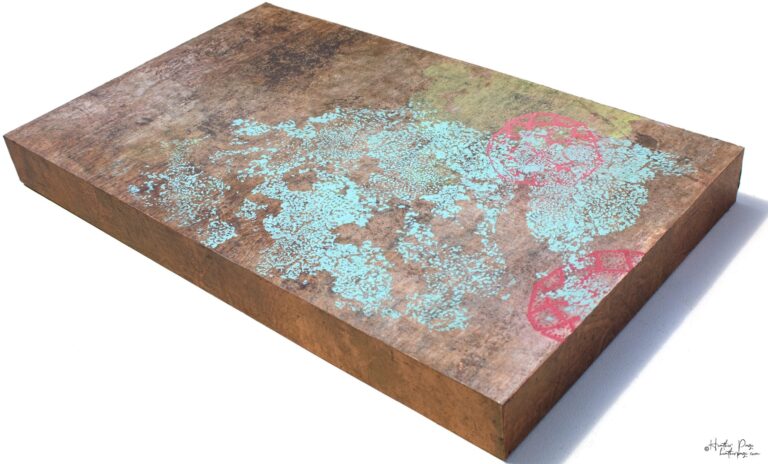 La Brume by Heather Page is a 12” by 20” by 2” monoprint on panel of silkscreened lichens and mold diagrams in blue, scarlet, and yellow over a copper field