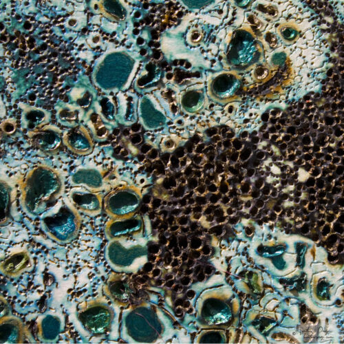 Detail of L'Électrisation du Nuage by Heather Page, an 11 13/16” square mixed media artwork of woodburned & silkscreened lichens in blue & red on a gold ground