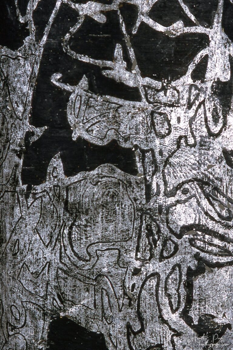 Detail of Fantasie by Heather Page, a 60” by 15” monoprint on paper of looping calligraphic text in black & silver on a silver ground that hangs from the ceiling