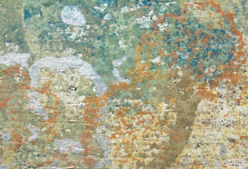 Detail of Les Fleurs de Givre by Heather Page, a 10.5” by 19.75” by 2” silkscreen on panel of a mass of lichens & molds in greens, oranges, blues, & silver