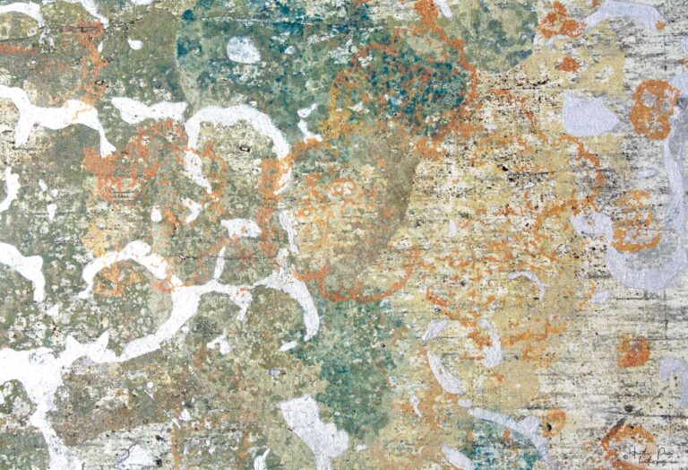 Detail of Les Fleurs de Givre by Heather Page, a 10.5” by 19.75” by 2” silkscreen on panel of a mass of lichens & molds in greens, oranges, blues, & silver