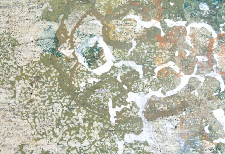 Detail of Les Fleurs de Givre by Heather Page, a 10.5” by 19.75” by 2” silkscreen on panel of a mass of lichens & molds in greens, oranges, blues, & silver