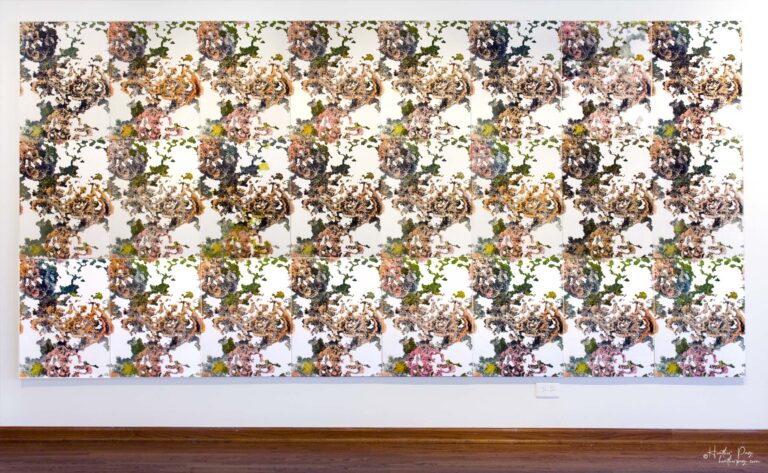 High Peeks Installation by Heather Page is an art installation of twenty-four 24” by 18” prints on panel of spiraling Adirondack lichens in peach, pink, & green