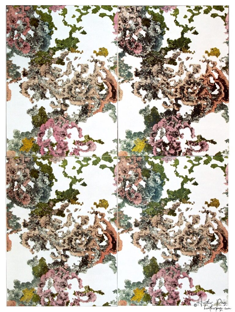 High Peeks Installation by Heather Page is an art installation of twenty-four 24” by 18” prints on panel of spiraling Adirondack lichens in peach, pink, & green