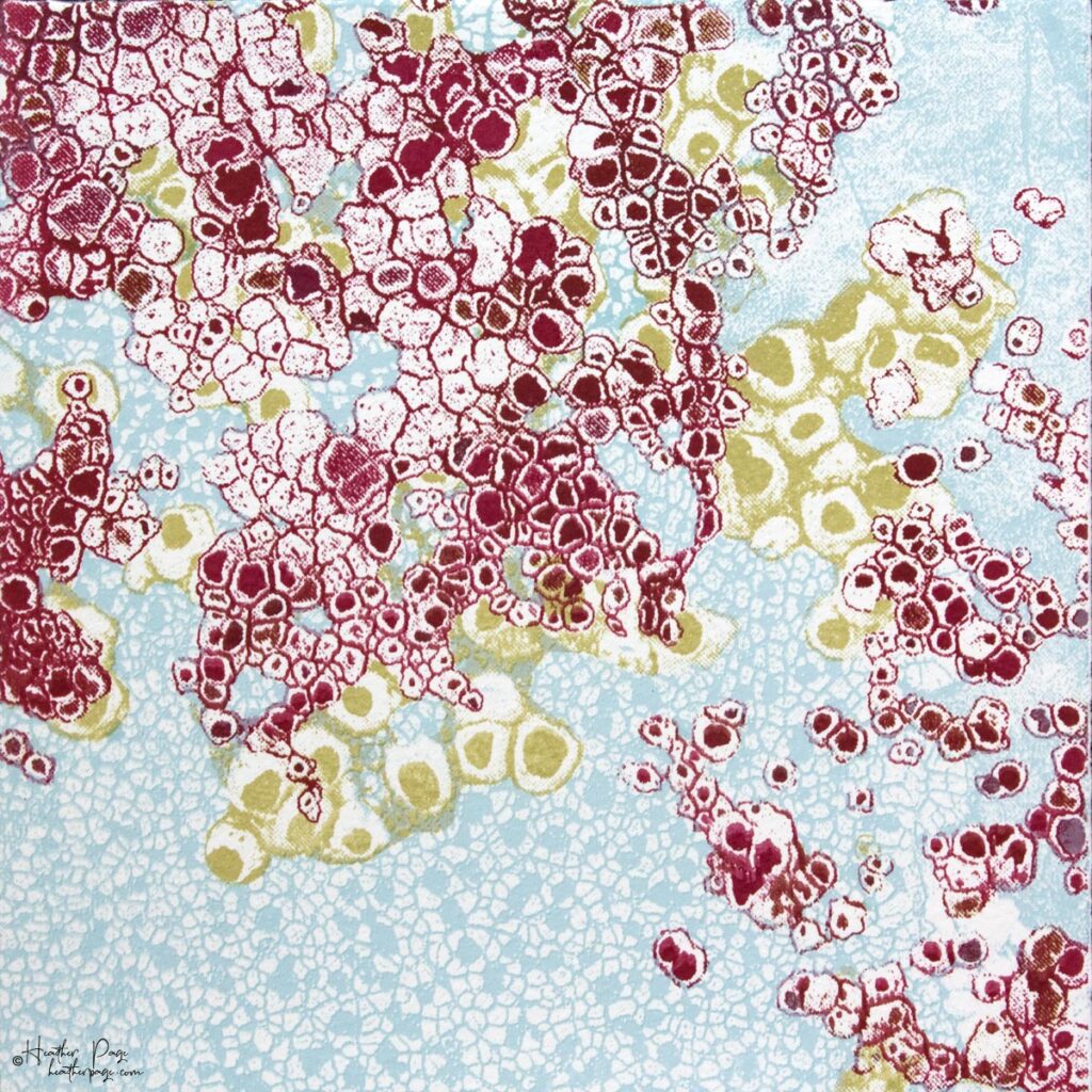 Lichens by Heather Page is a 6” square silkscreen, relief, and lithograph monoprint on paper of a cloud-like composition of lacy lichens in red, gold, and blue