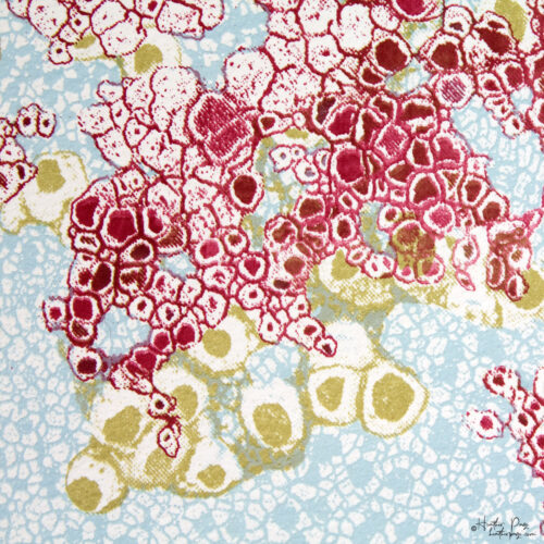 Detail of Lichens by Heather Page, a 6” square silkscreen, lithograph, & relief print on paper of a cloud-like composition of lacy lichens in red, gold, & blue
