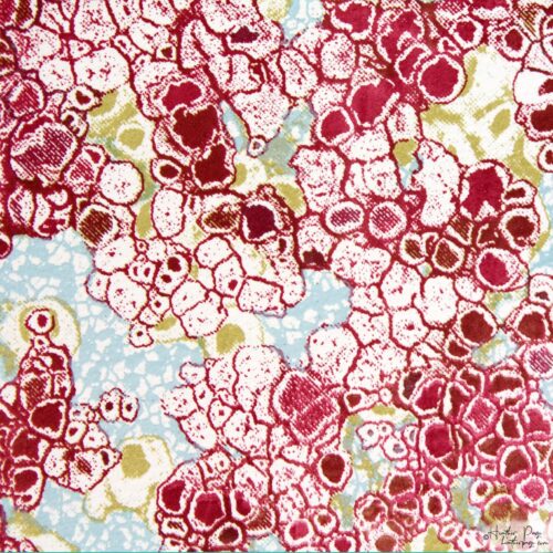 Detail of Lichens by Heather Page, a 6” square silkscreen, lithograph, & relief print on paper of a cloud-like composition of lacy lichens in red, gold, & blue