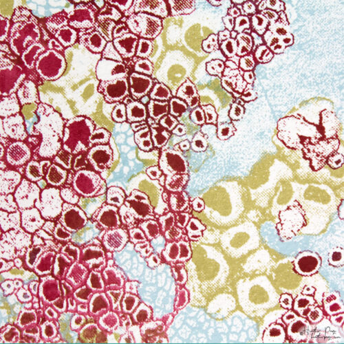 Detail of Lichens by Heather Page, a 6” square silkscreen, lithograph, & relief print on paper of a cloud-like composition of lacy lichens in red, gold, & blue
