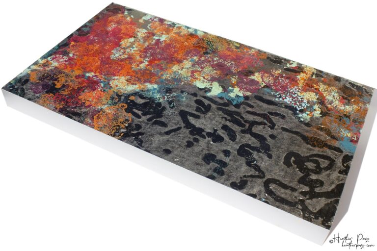 Le Pyrocumulus by Heather Page is a 25.75” by 15” by 2” silkscreen on panel of a mass of red, orange, seafoam, and blue lichens on a black-marked silver ground