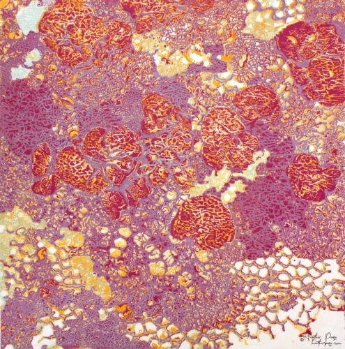 Queen’s Lace II by Heather Page is a 15" square relief print on paper of a swirl of intricate lace-like lichens & fossils in springtime reds, purples, & golds