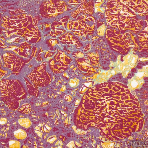 Detail of Queen’s Lace II by Heather Page, a 15” square relief print on paper of a swirl of intricate lace-like lichens & fossils in reds, purples, & golds