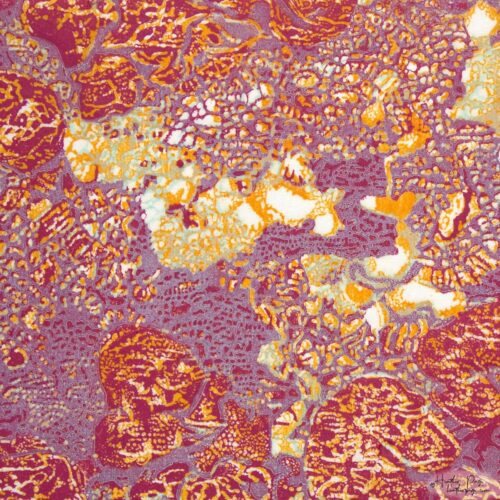 Detail of Queen’s Lace II by Heather Page, a 15” square relief print on paper of a swirl of intricate lace-like lichens & fossils in reds, purples, & golds