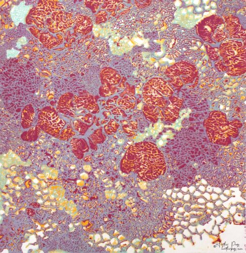 Queen’s Lace III by Heather Page is a 15" square relief print on paper of a swirl of intricate lace-like lichens & fossils in icy hues of red, violet, & gold