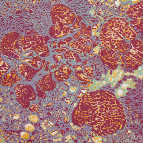 Detail of Queen’s Lace III by Heather Page, a 15” square relief print on paper of a swirl of intricate lace-like lichens & fossils in icy reds, violets, & golds