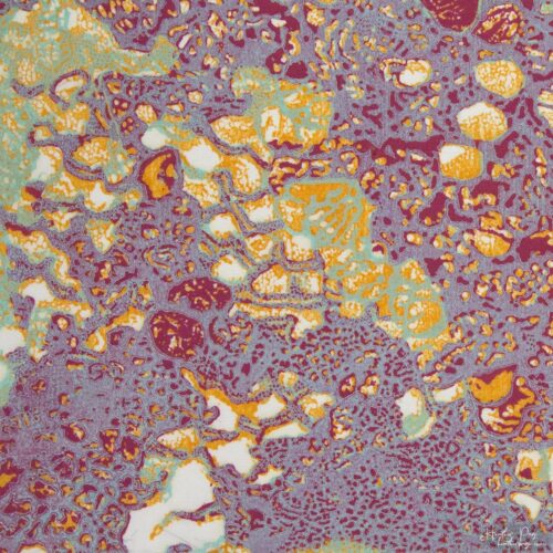 Detail of Queen’s Lace III by Heather Page, a 15” square relief print on paper of a swirl of intricate lace-like lichens & fossils in icy reds, violets, & golds