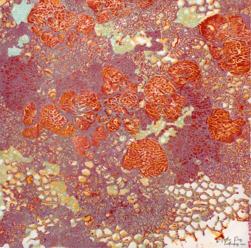 Queen’s Lace IV by Heather Page is a 15 inch square relief print on paper of a swirl of intricate lace-like lichens & fossils in summery scarlet, lilac, & gold