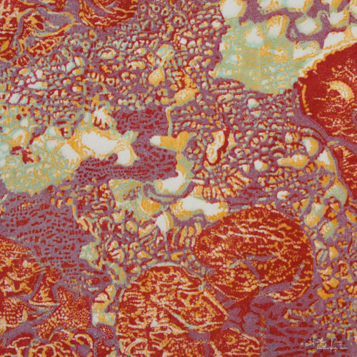 Detail of Queen’s Lace IV by Heather Page, a 15” square wood relief print on paper of a swirl of intricate lace-like lichens & fossils in scarlet, lilac, & gold