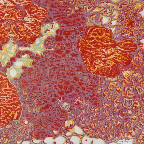 Detail of Queen’s Lace IV by Heather Page, a 15” square wood relief print on paper of a swirl of intricate lace-like lichens & fossils in scarlet, lilac, & gold