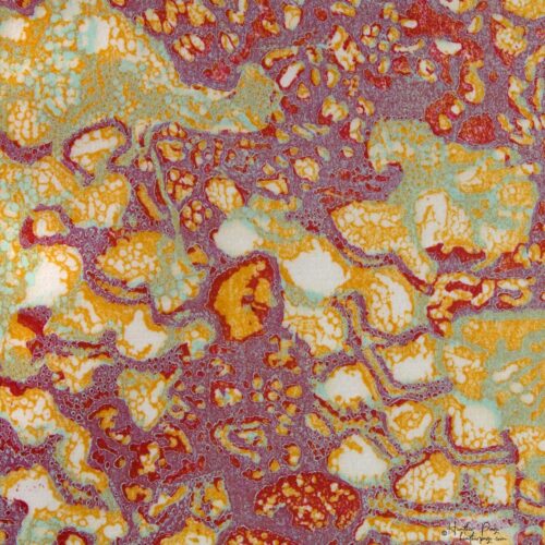 Detail of Queen’s Lace IV by Heather Page, a 15” square wood relief print on paper of a swirl of intricate lace-like lichens & fossils in scarlet, lilac, & gold