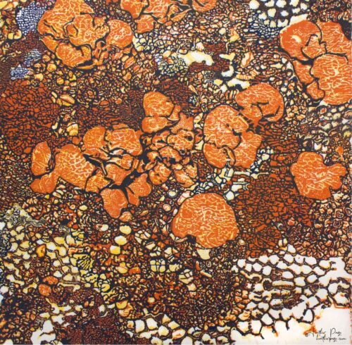 Queen’s Lace VI by Heather Page is a 15" square relief print on paper of a swirl of intricate lace-like lichens & fossils in autumn oranges, blues, & yellows