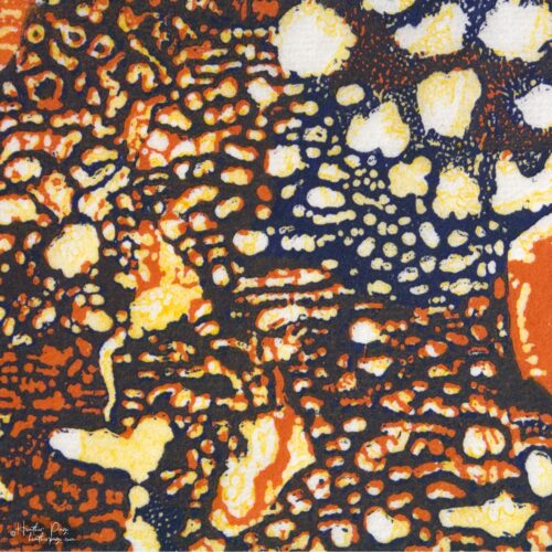 Detail of Queen's Lace VI by Heather Page, a 15 inch square relief print of a swirl of intricate lace-like lichens & fossils in orange, blue, & yellow