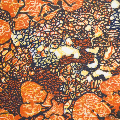 Detail of Queen's Lace VI by Heather Page, a 15 inch square relief print of a swirl of intricate lace-like lichens & fossils in orange, blue, & yellow
