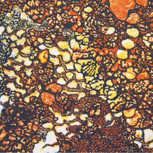 Detail of Queen's Lace VI by Heather Page, a 15 inch square relief print of a swirl of intricate lace-like lichens & fossils in orange, blue, & yellow