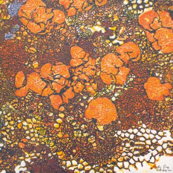 Queen’s Lace VII by Heather Page is a 15" square relief print on paper of a swirl of intricate lace-like lichens & fossils in autumn oranges, blues, & yellows