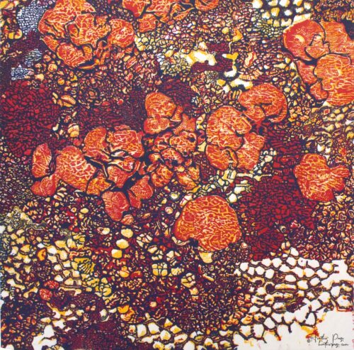 Queen’s Lace VIII by Heather Page is a 15 inch square wood relief print on paper of a swirl of intricate lace-like lichens and fossils in red, blue, and yellow