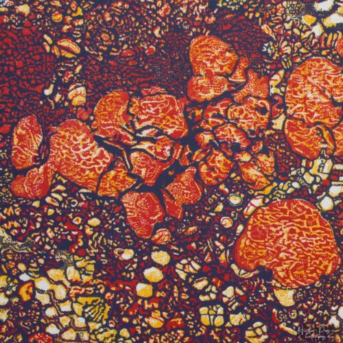 Detail of Queen's Lace VIII by Heather Page, a 15 inch square relief print of a swirl of intricate lace-like lichens & fossils in red, blue, & yellow