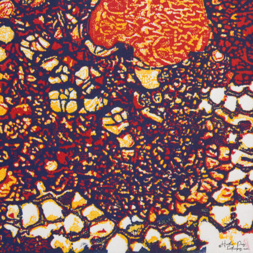 Detail of Queen's Lace VIII by Heather Page, a 15 inch square relief print of a swirl of intricate lace-like lichens & fossils in red, blue, & yellow
