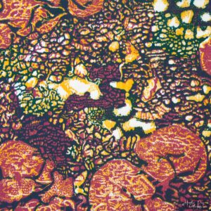 Detail of Queen's Lace IX by Heather Page, a 15 inch square relief print of a swirl of intricate lace-like lichens & fossils in maroon, blue, & yellow