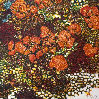Queen’s Lace XI by Heather Page is a 15" square wood relief print on paper of a swirl of intricate lace-like lichens and fossils in red-orange, blue, & yellow