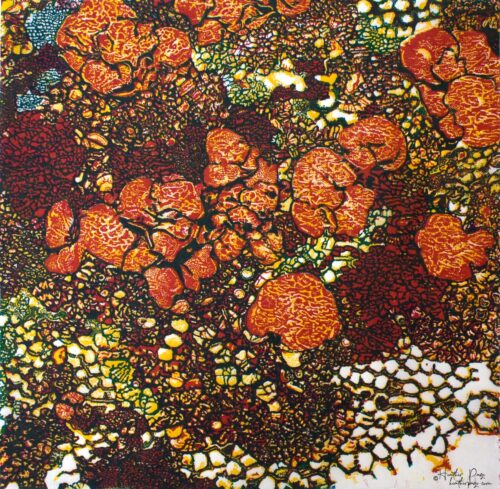 Queen’s Lace XI by Heather Page is a 15" square wood relief print on paper of a swirl of intricate lace-like lichens and fossils in red-orange, blue, & yellow