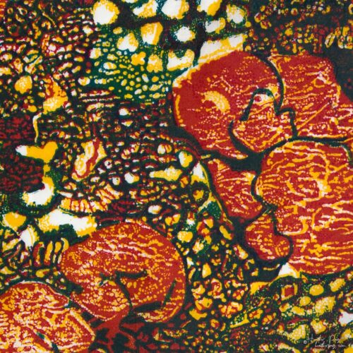 Detail of Queen's Lace XI by Heather Page, a 15 inch square relief print of a swirl of intricate lace-like lichens & fossils in red-orange, blue, & yellow