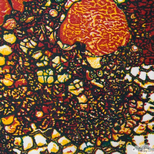 Detail of Queen's Lace XI by Heather Page, a 15 inch square relief print of a swirl of intricate lace-like lichens & fossils in red-orange, blue, & yellow